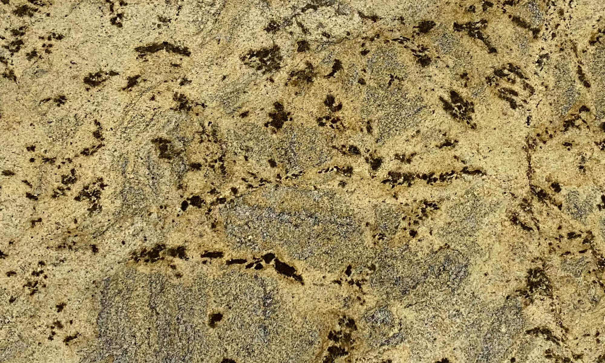 Scalea Iberian Gold