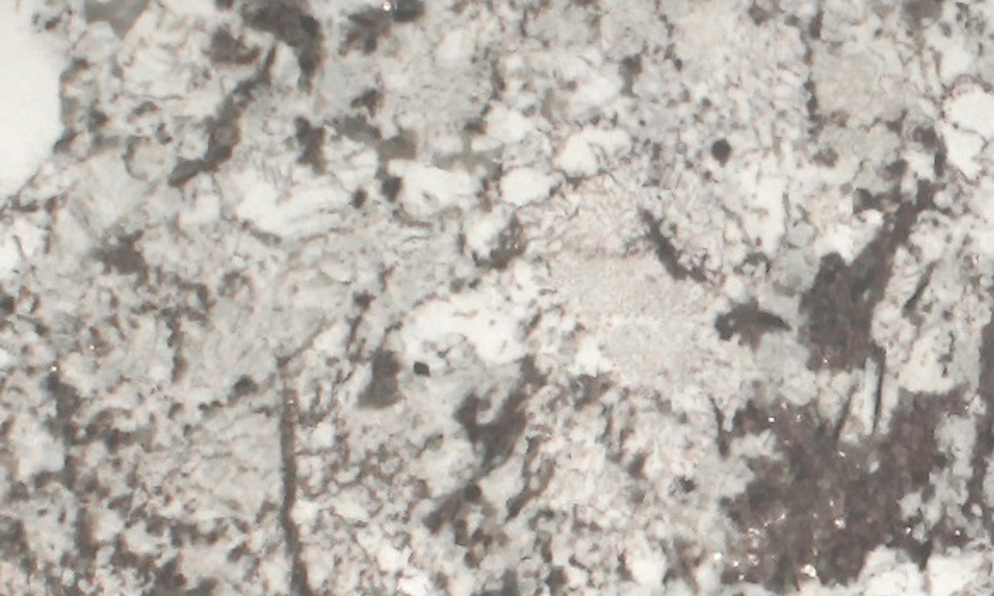 Sensa White Splendor Granite slab
