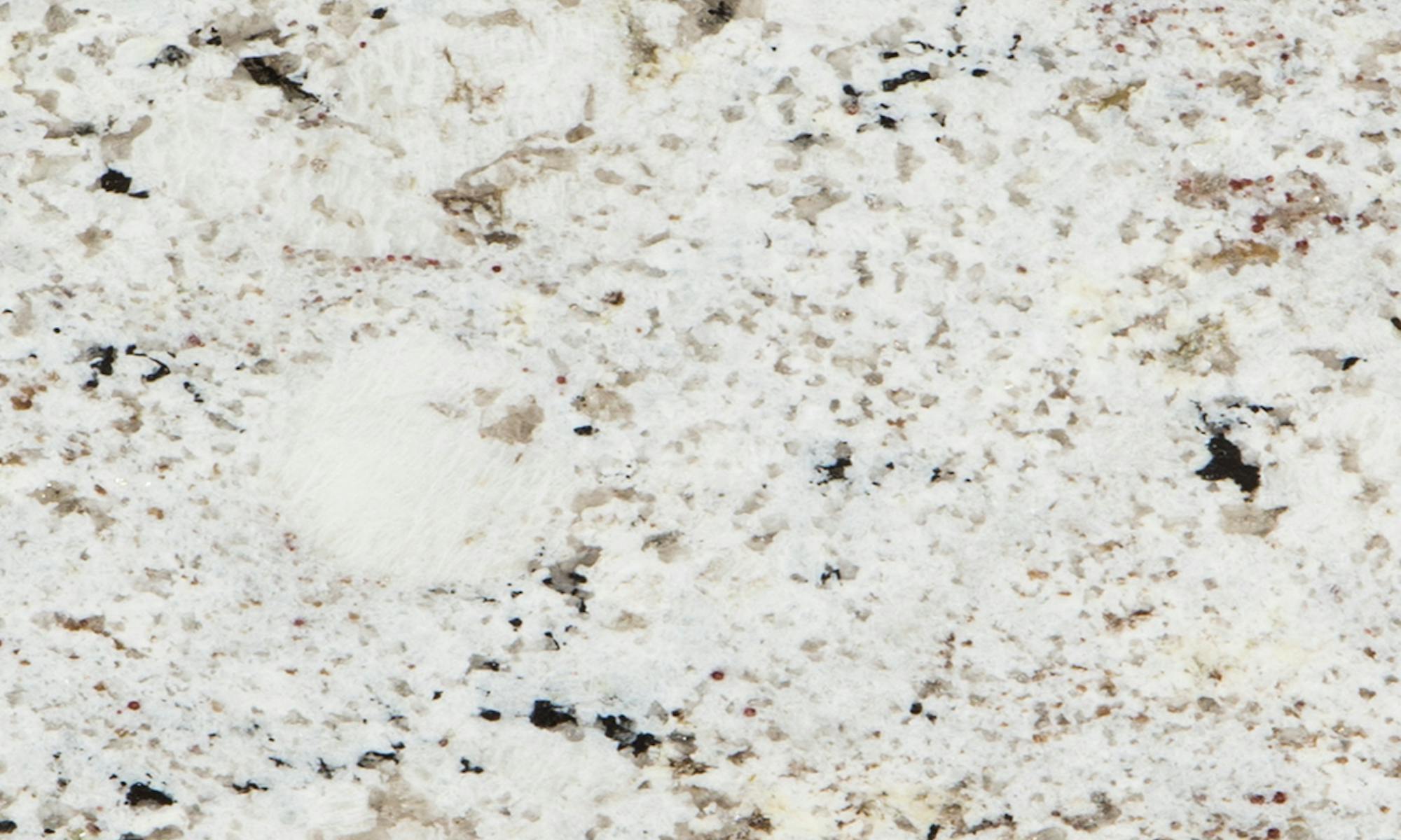 Scalea Blanco Gabriele