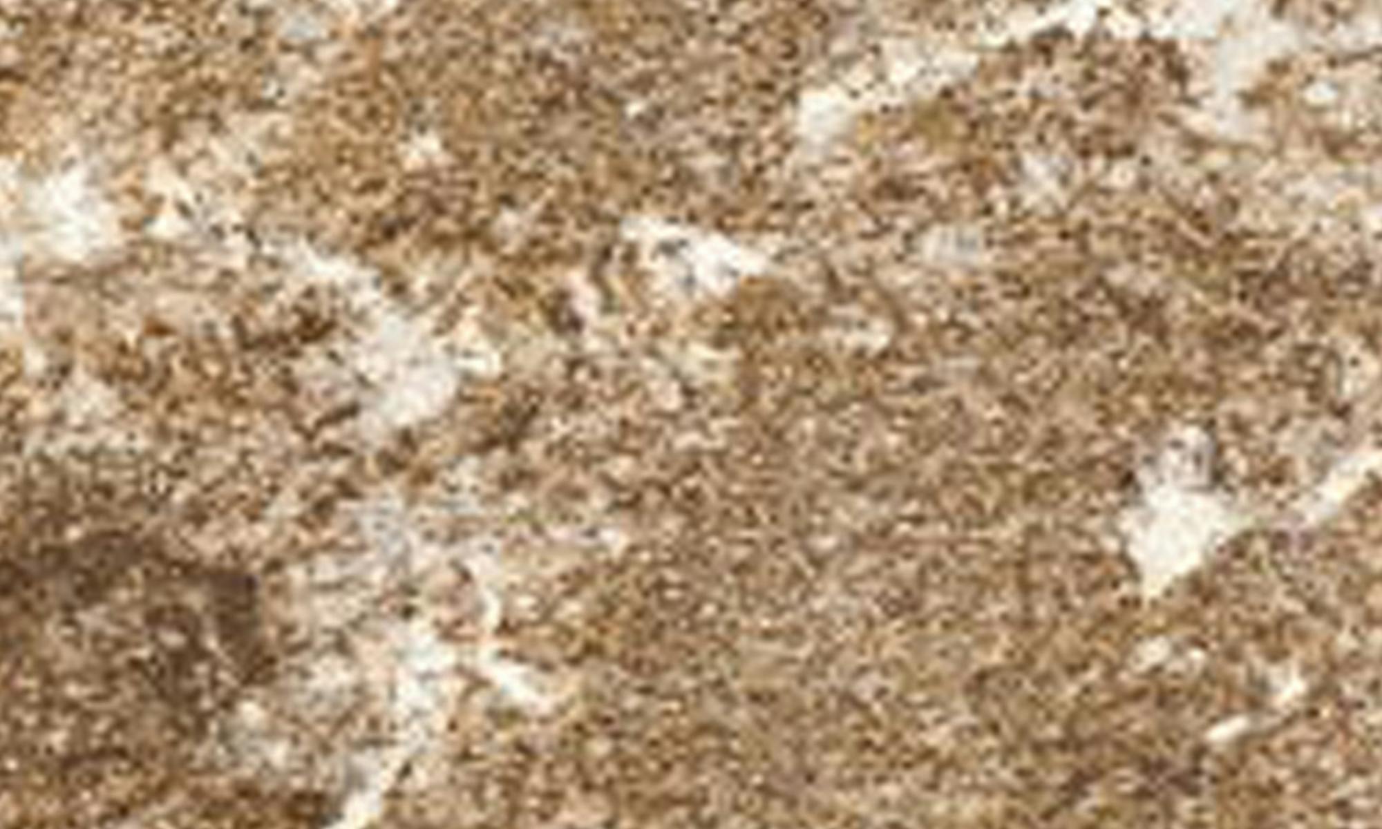 Sensa Brown Persa Granite slab