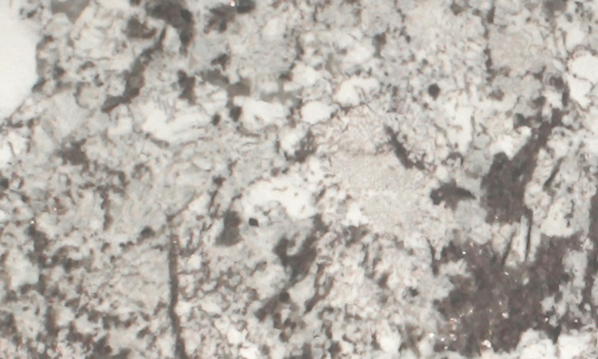 Sensa White Splendor Granite slab