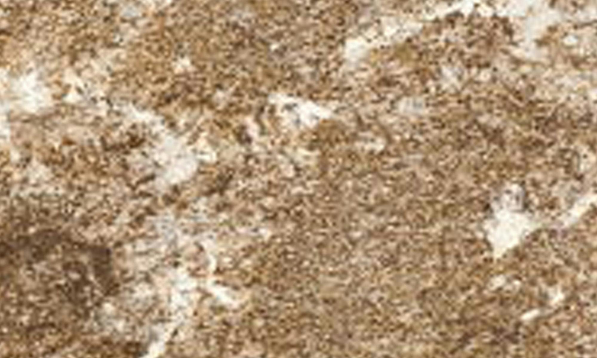 Sensa Brown Persa