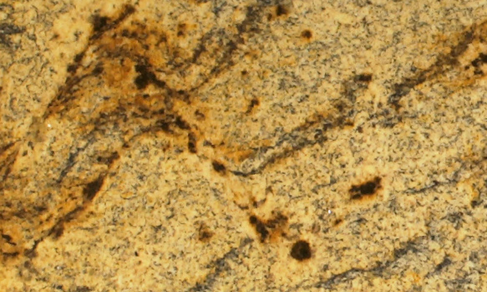 Scalea Lapidus Gold